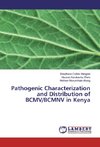 Pathogenic Characterization and Distribution of BCMV/BCMNV in Kenya