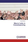 Macro tasks in Crowdsourcing