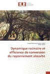 Dynamique racinaire et efficience de conversion du rayonnement absorbé