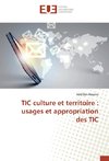 TIC culture et territoire : usages et appropriation des TIC