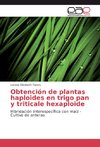 Obtención de plantas haploides en trigo pan y triticale hexaploide