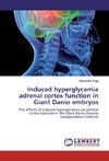 Induced hyperglycemia adrenal cortex function in Giant Danio embryos