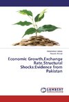 Economic Growth,Exchange Rate,Structural Shocks:Evidence from Pakistan