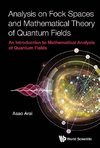 Analysis on Fock Spaces and Mathematical Theory of Quantum Fields