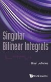 Singular Bilinear Integrals