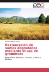 Restauración de suelos degradados mediante el uso de gramíneas