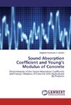 Sound Absorption Coefficient and Young's Modulus of Concrete