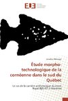 Étude morpho-technologique de la cornéenne dans le sud du Québec