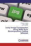 Lossy Image Compression Using Multi Scale Decomposition Coding Schemes