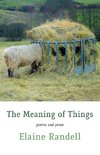 The Meaning of Things