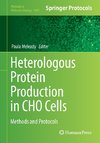 Heterologous Protein Production in CHO Cells