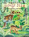 The Adventures of Mouse Deer