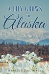 A Lily Grows in Alaska