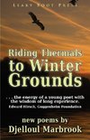 Riding Thermals to Winter Grounds