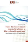 Etude des ressources en eau souterraine de la dépression piézométrique