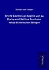 Briefe Goethes an Sophie von La Roche und Bettina Brentano