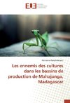 Les ennemis des cultures dans les bassins de production de Mahajanga, Madagascar