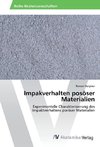 Impakverhalten posöser Materialien