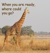 When you are ready, where could you go?