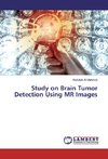 Study on Brain Tumor Detection Using MR Images