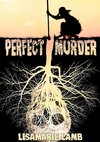 Perfect Murder