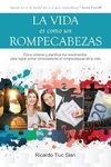 La Vida Es Como Un Rompecabezas