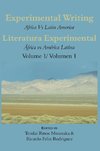 Experimental Writing: Africa Vs Latin America Vol 1: Literatura Experimental: África Vs América Latina Vol 1