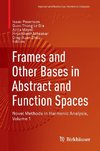 Frames and Other Bases in Abstract and Function Spaces