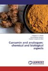 Curcumin and analogues: chemical and biological aspects