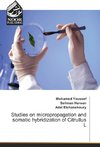 Studies on micropropagation and somatic hybridization of Citrullus L