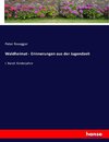 Waldheimat - Erinnerungen aus der Jugendzeit