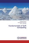 Fundamentals of Soft Computing