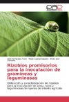 Rizobios promisorios para la inoculación de gramíneas y leguminosas