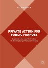 Private Action for Public Purpose