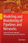 Modeling and Monitoring of Pipelines and Networks