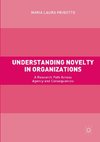 Understanding Novelty in Organizations