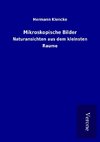 Mikroskopische Bilder