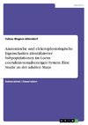 Anatomische und elektrophysiologische Eigenschaften identifizierter Subpopulationen im Locus coeruleus-noradrenergen System. Eine Studie an der adulten Maus