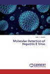 Molecular Detection of Hepatitis E Virus