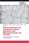 Reforzamiento de Cerámicos Base Alúmina con Nanopartículas de Titanio