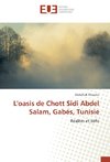 L'oasis de Chott Sidi Abdel Salam, Gabés, Tunisie