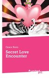 Secret Love Encounter