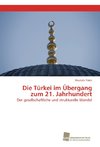 Die Türkei im Übergang zum 21. Jahrhundert