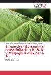 El nanche: Byrsonima crassifolia (L.) H. B. K. y Malpighia mexicana A.