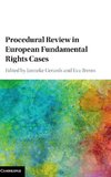 Procedural Review in European Fundamental Rights Cases