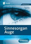 Sinnesorgan Auge