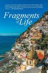 Fragments of Life