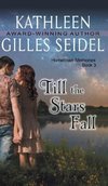 Till the Stars Fall (Hometown Memories, Book 3)