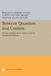 Between Quantum and Cosmos