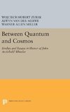 Between Quantum and Cosmos